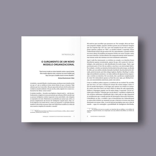 Reinventando as organizações - Um guia para criar organizações inspiradas no próximo estágio da consciência humana | Frederic Laloux