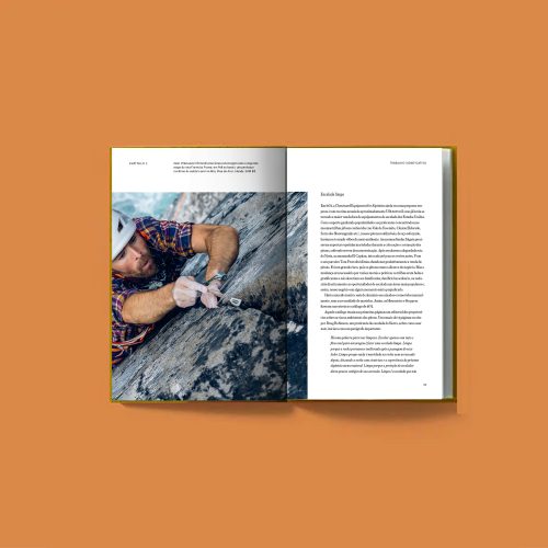 Negócio Incomum - O que a Patagonia aprendeu em seus primeiros 50 anos de inovação e transformação | Vincent Stanley e Yvon Chouinard
